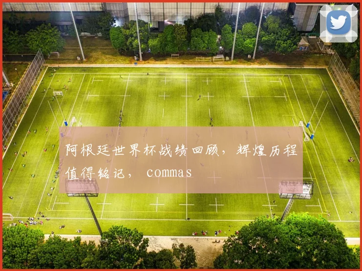 阿根廷世界杯战绩回顾，辉煌历程值得铭记， commas