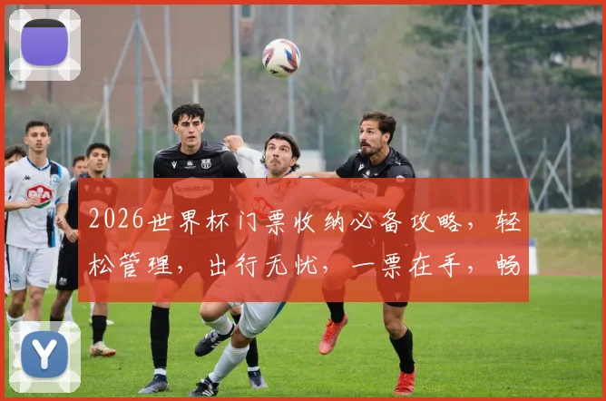 2026世界杯门票收纳必备攻略，轻松管理，出行无忧，一票在手，畅享盛宴